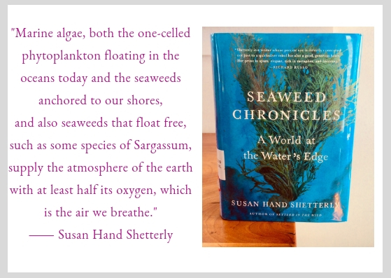 The Earth Book: A world of exploration and wonder
