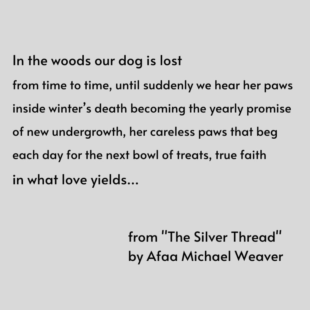 Shares an excerpt of a poem by Afaa Michael Weaver from "The Silver Thread."