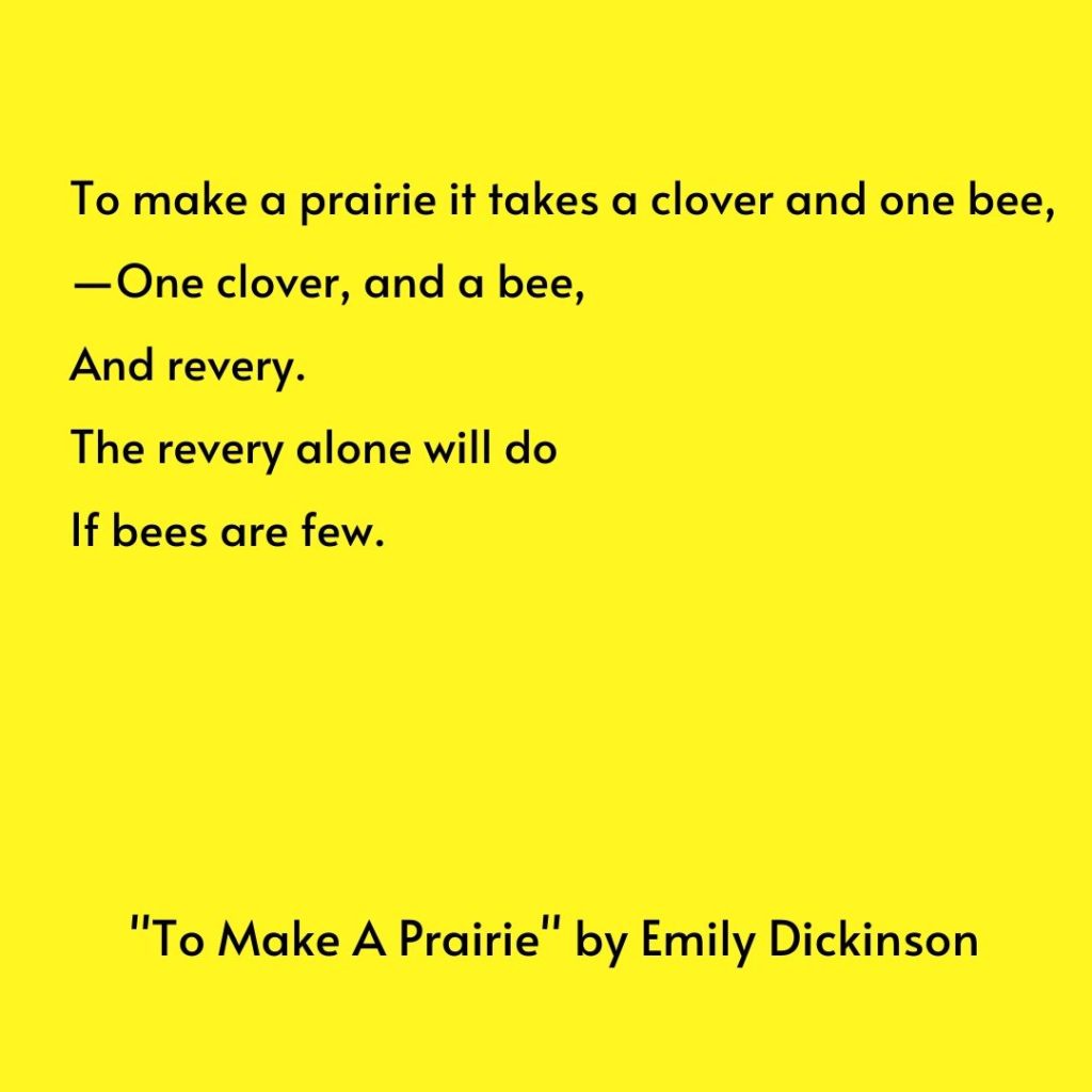 This shares Emily Dickinson's poem "To Make a Prairie."