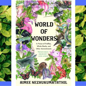 This is a picture of the cover of the book 