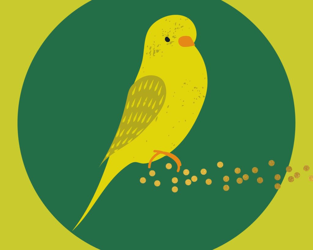 An image of a yellow bird with an orange beak and orange feet perching in a green circle. 