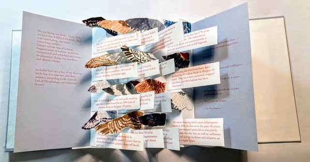 An open book displaying various kinds of bird wings, a piece titled "Vanishing Birds" by Sarah Harvey